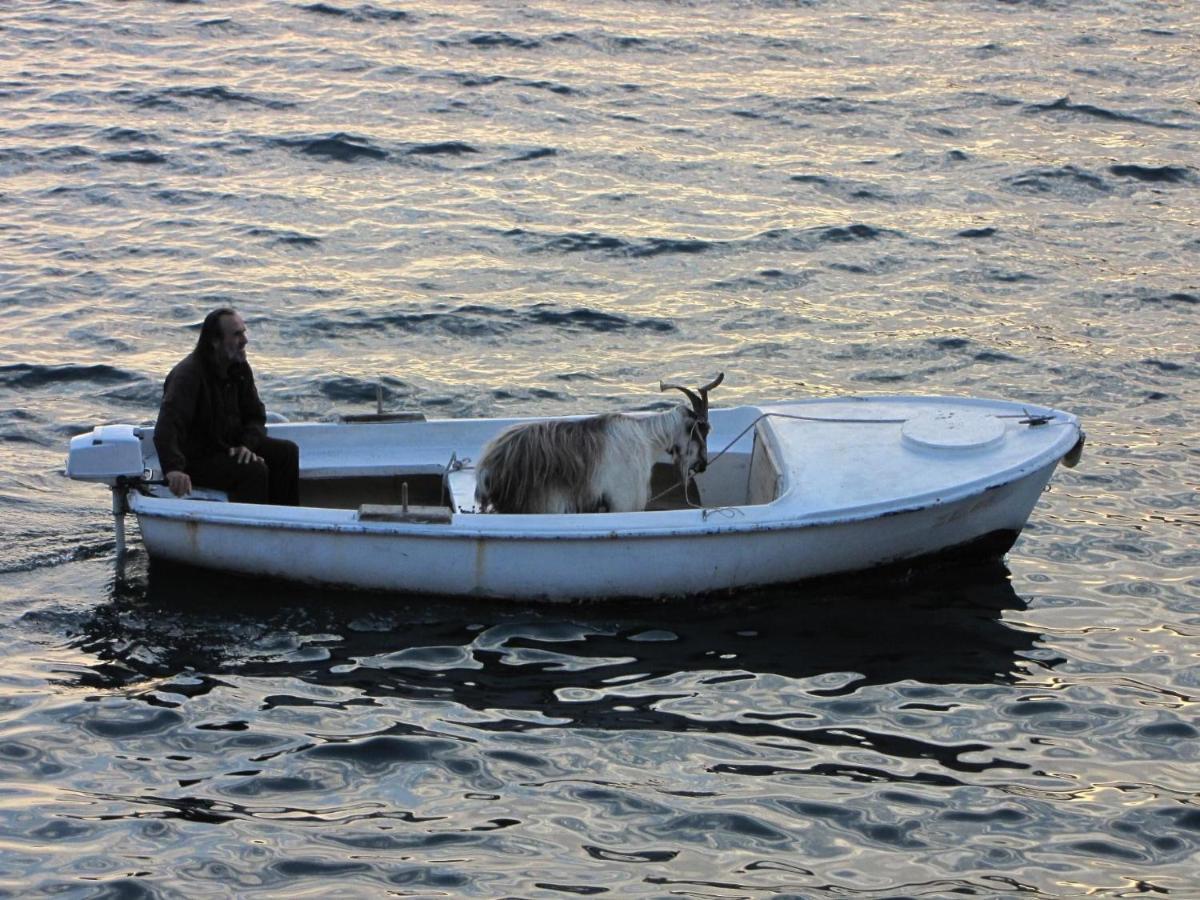 Kazerma Apartment Perast Bagian luar foto